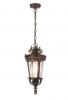 PEDRAL 18 VINTAGE EXTERIOR PENDANT. BLACK OR BRONZE